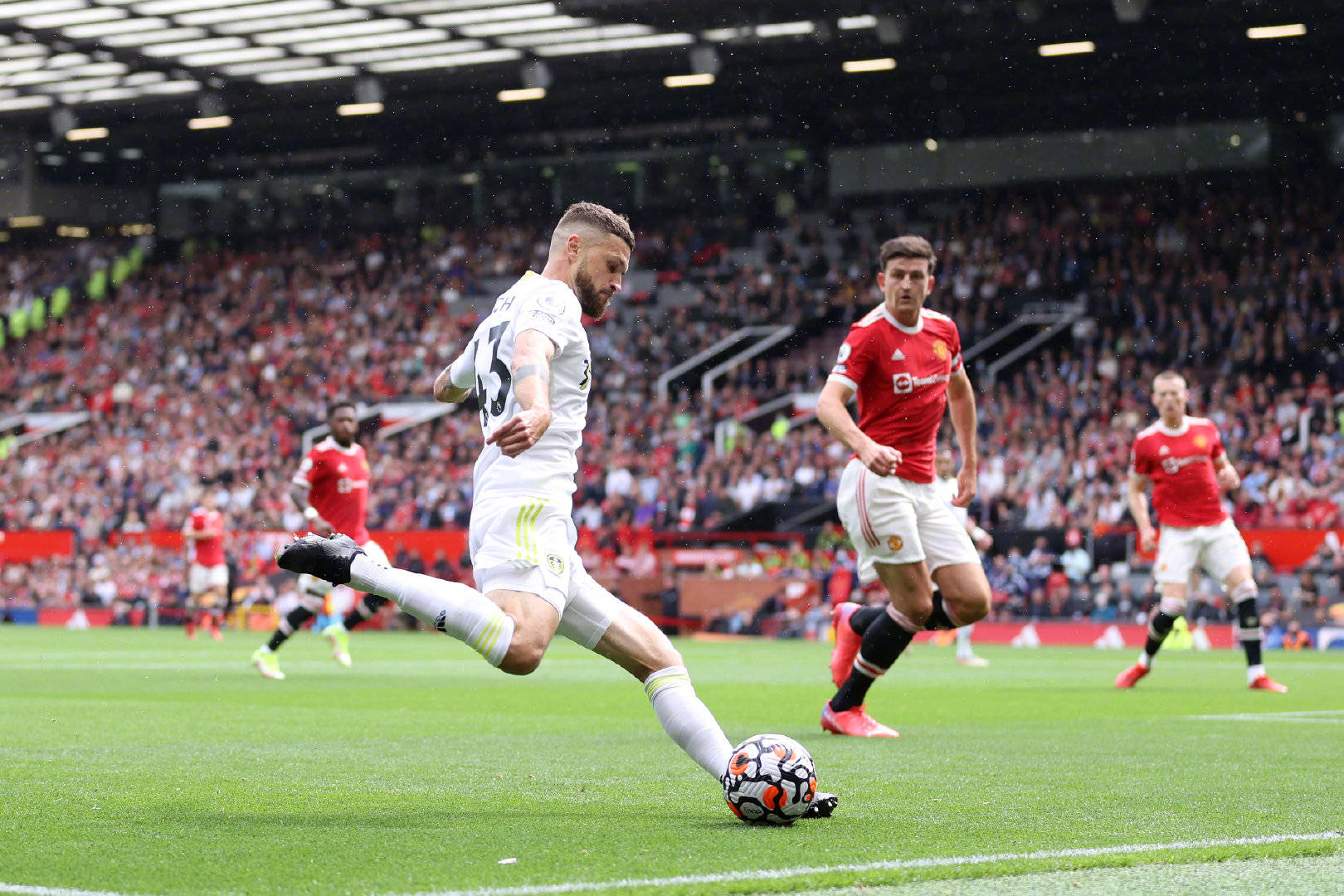 缺的精神贡 缺的精神贡